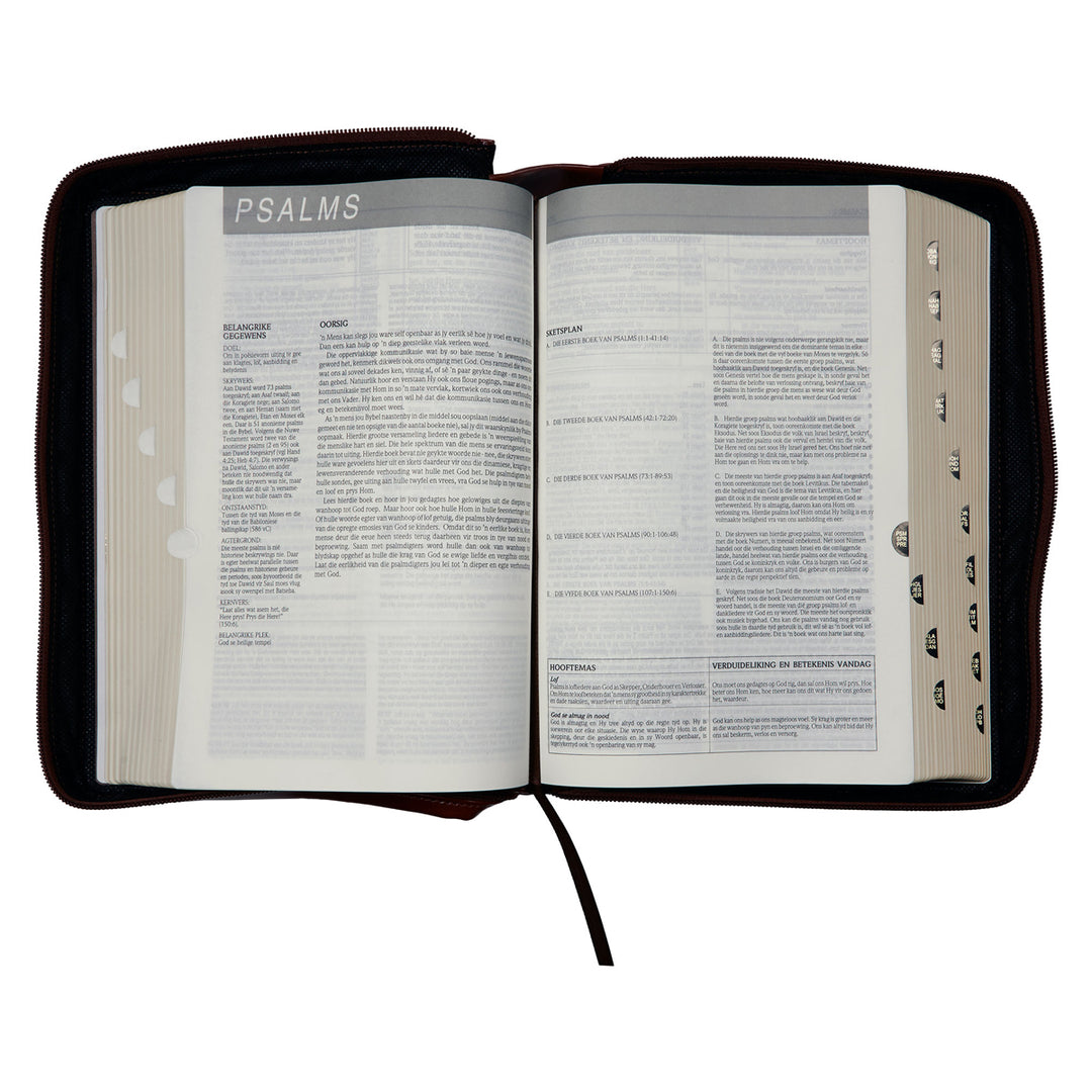 Die Bybel In Praktyk Taan & Bruin Kunsleer Bybel Met Ritssluiter & Duimgrepe