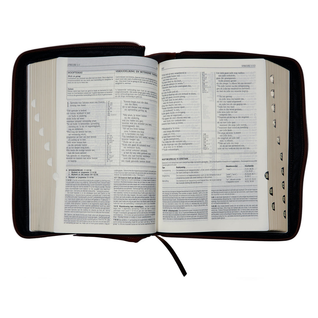 Die Bybel In Praktyk Taan & Bruin Kunsleer Bybel Met Ritssluiter & Duimgrepe