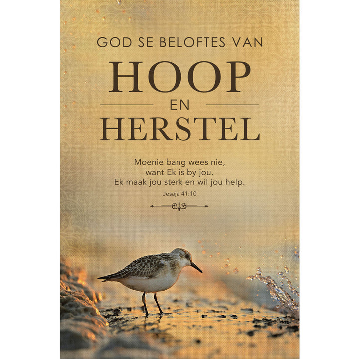 God Se Beloftes Van Hoop En Herstel (Sagteband)