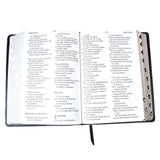 NLV Donkerbruin Kunsleer Super Grootdruk Bybel