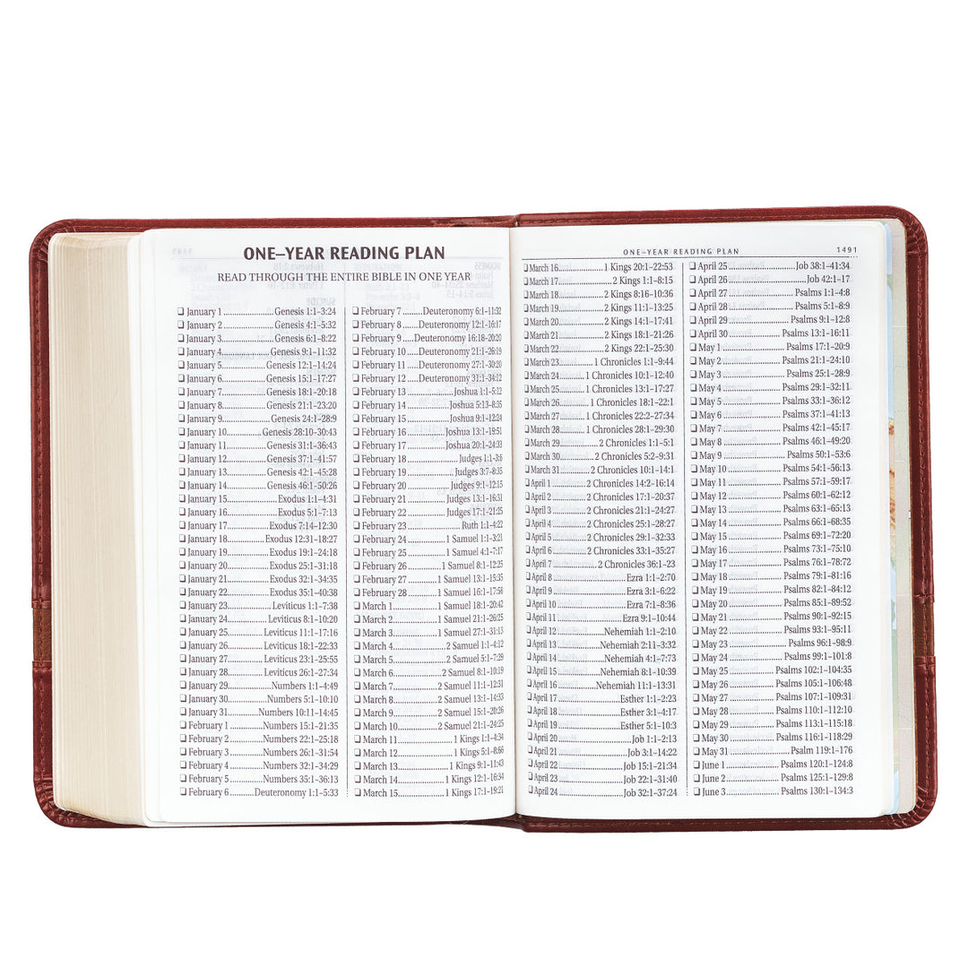 KJV Brown Faux Leather Compact Bible Large Print Red Letter