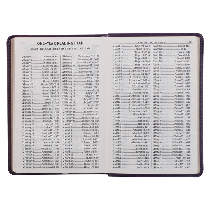 KJV Purple Faux Leather Compact Bible Large Print Red Letter