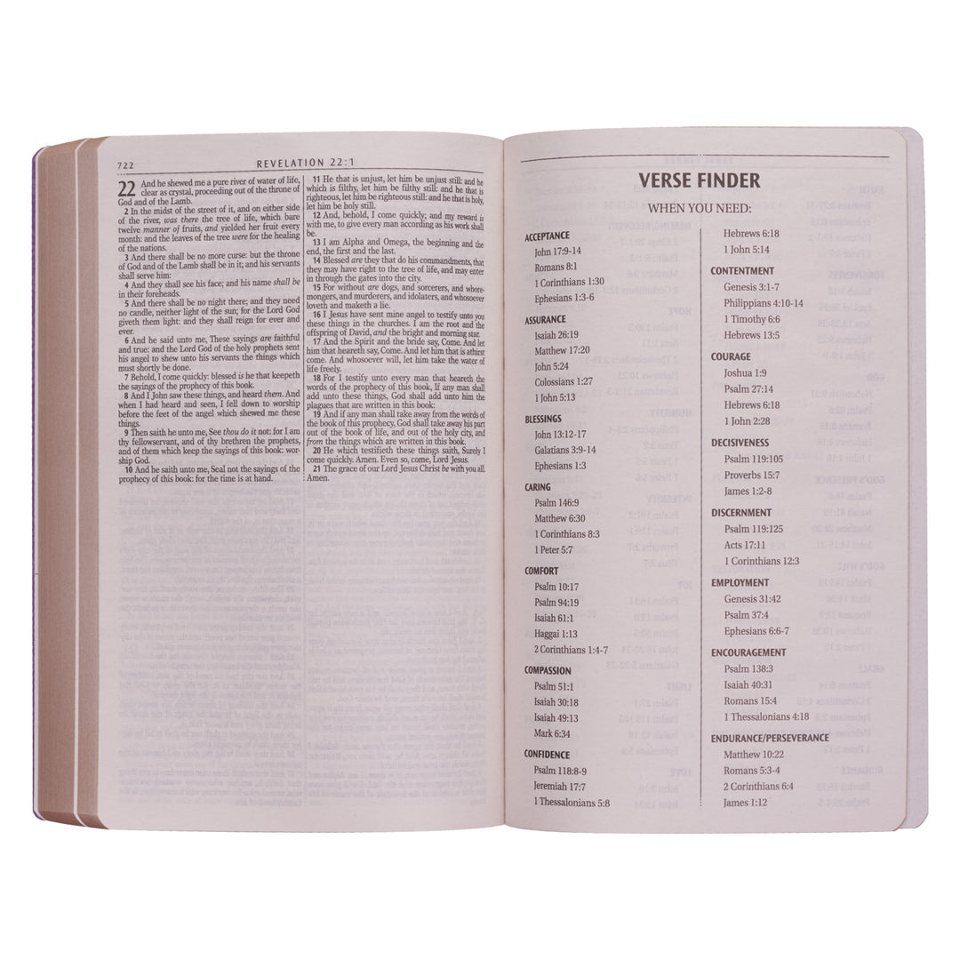 KJV Gold Paperback Gift Edition Bible