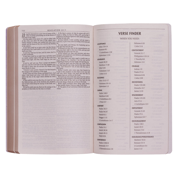 KJV Gold Paperback Gift Edition Bible