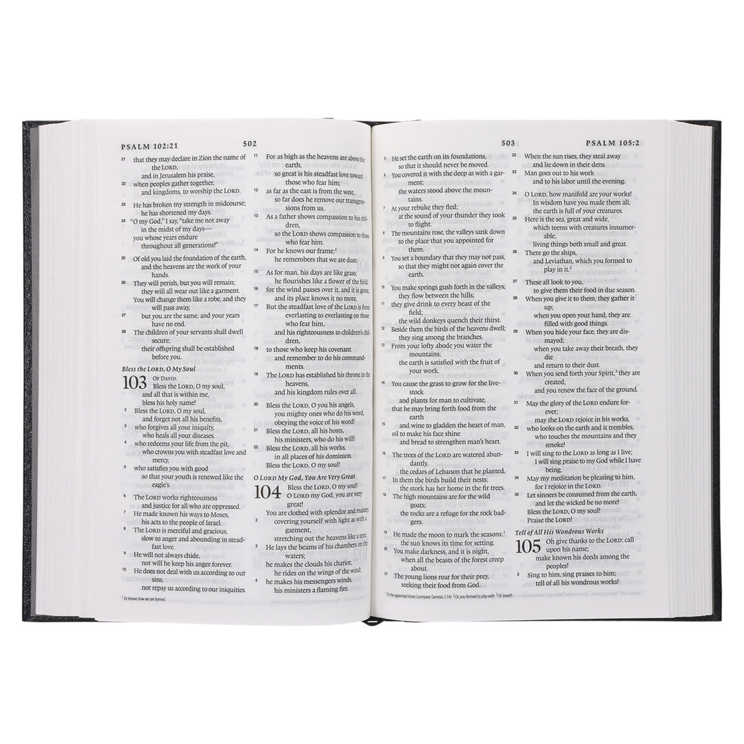 ESV Standard Bible Black Hardcover