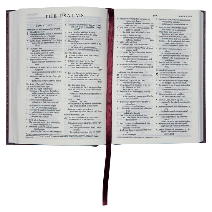 ESV Compact Bible Burgundy Hardcover