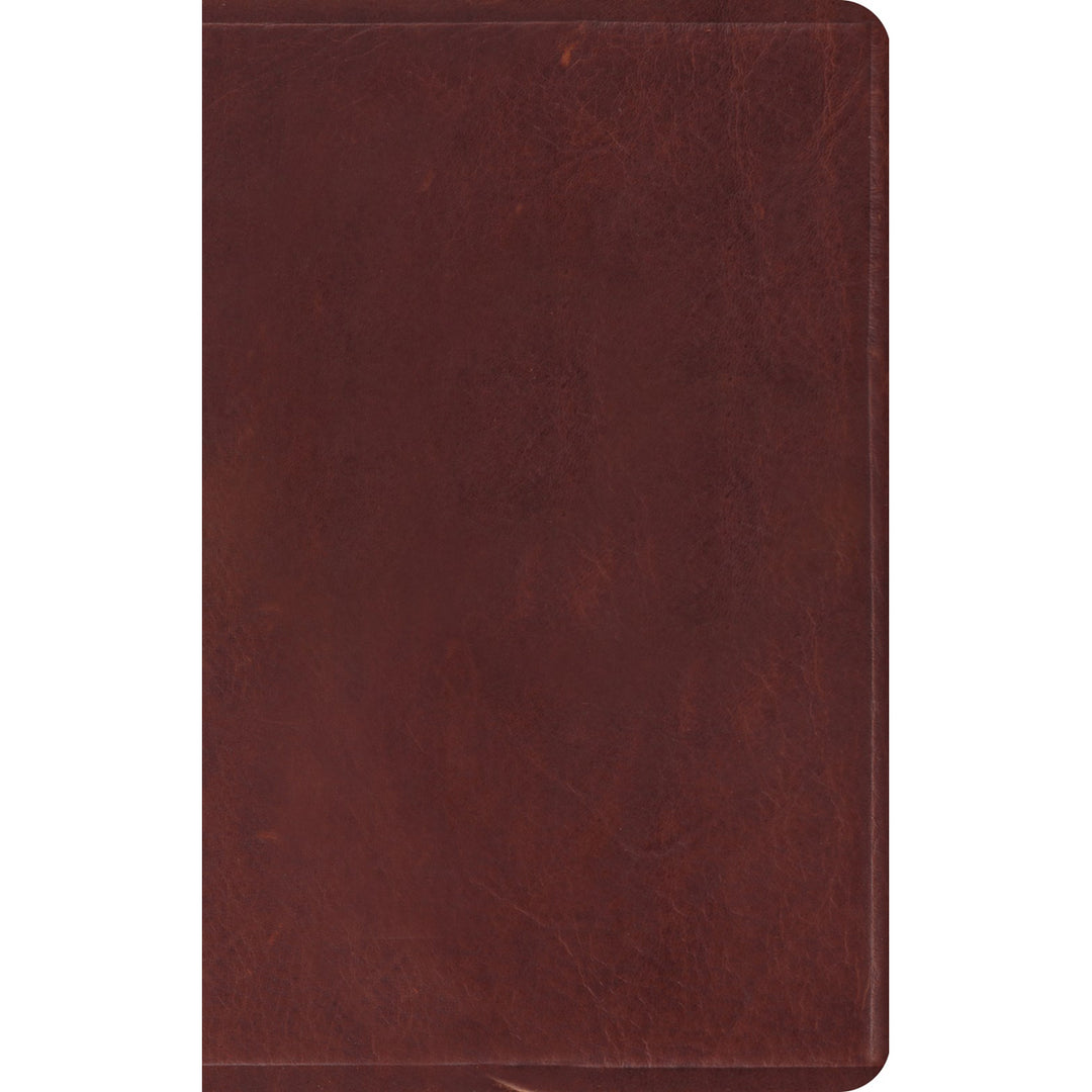 ESV Thinline Bible Brown (Sleeves)(Bonded Leather)