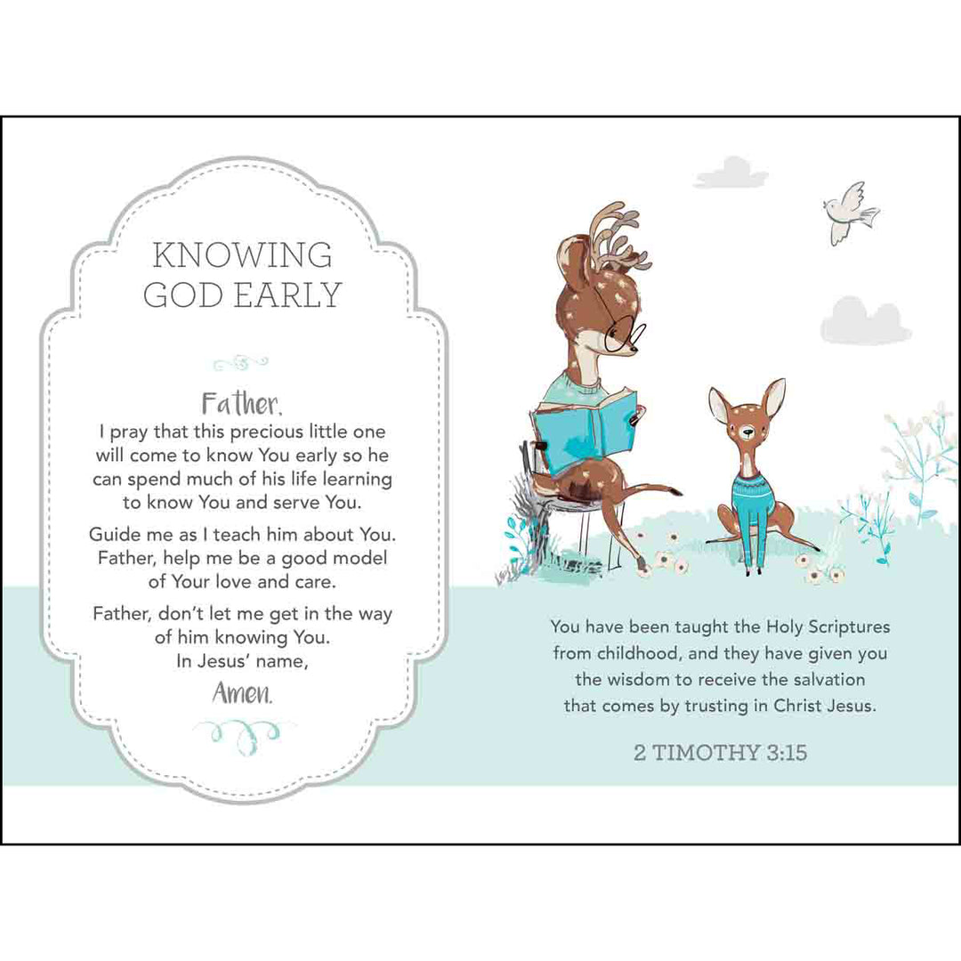 Prayers For My Baby Boy (Padded Hardcover)