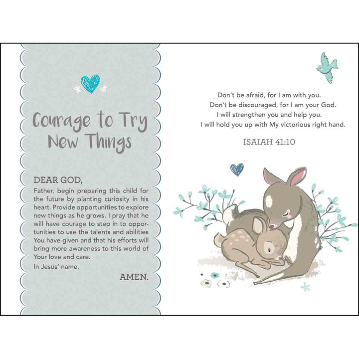 Prayers For My Baby Boy (Padded Hardcover)