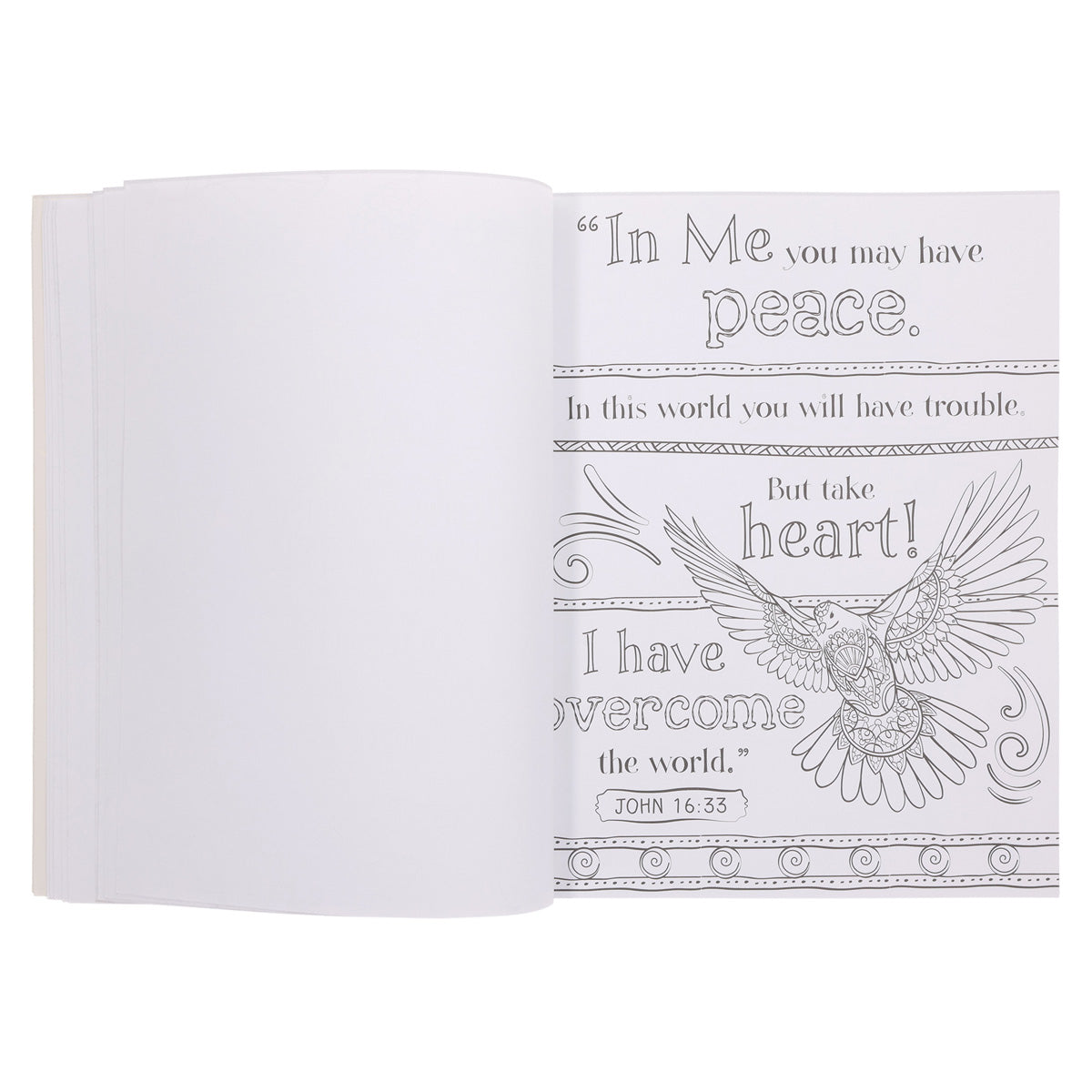 I Know The Plans Coloring Book (Paperback)