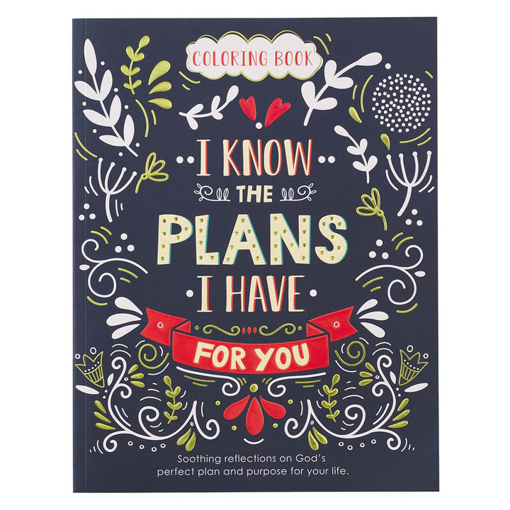 I Know The Plans Coloring Book (Paperback)