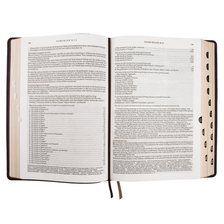 NLT Dark Brown Faux Leather Thumb Indexed Spiritual Growth Bible