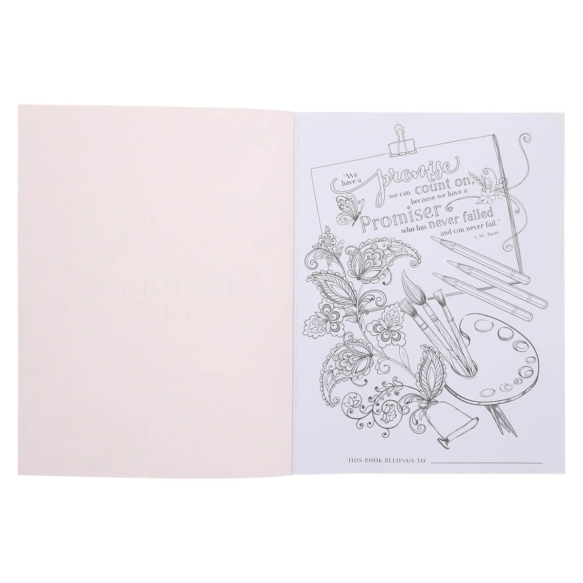 Color The Promises Of God (Paperback)