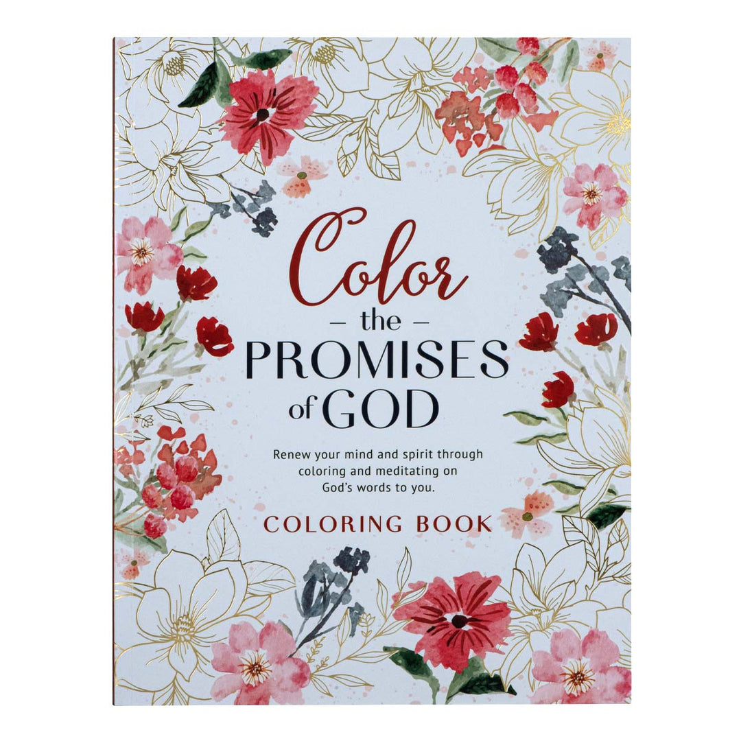 Color The Promises Of God (Paperback)