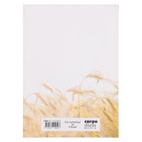 Die Nuwe Nuwe Testament Sagteband Bybel: ’n Getroue Vertaling In Vars Afrikaans