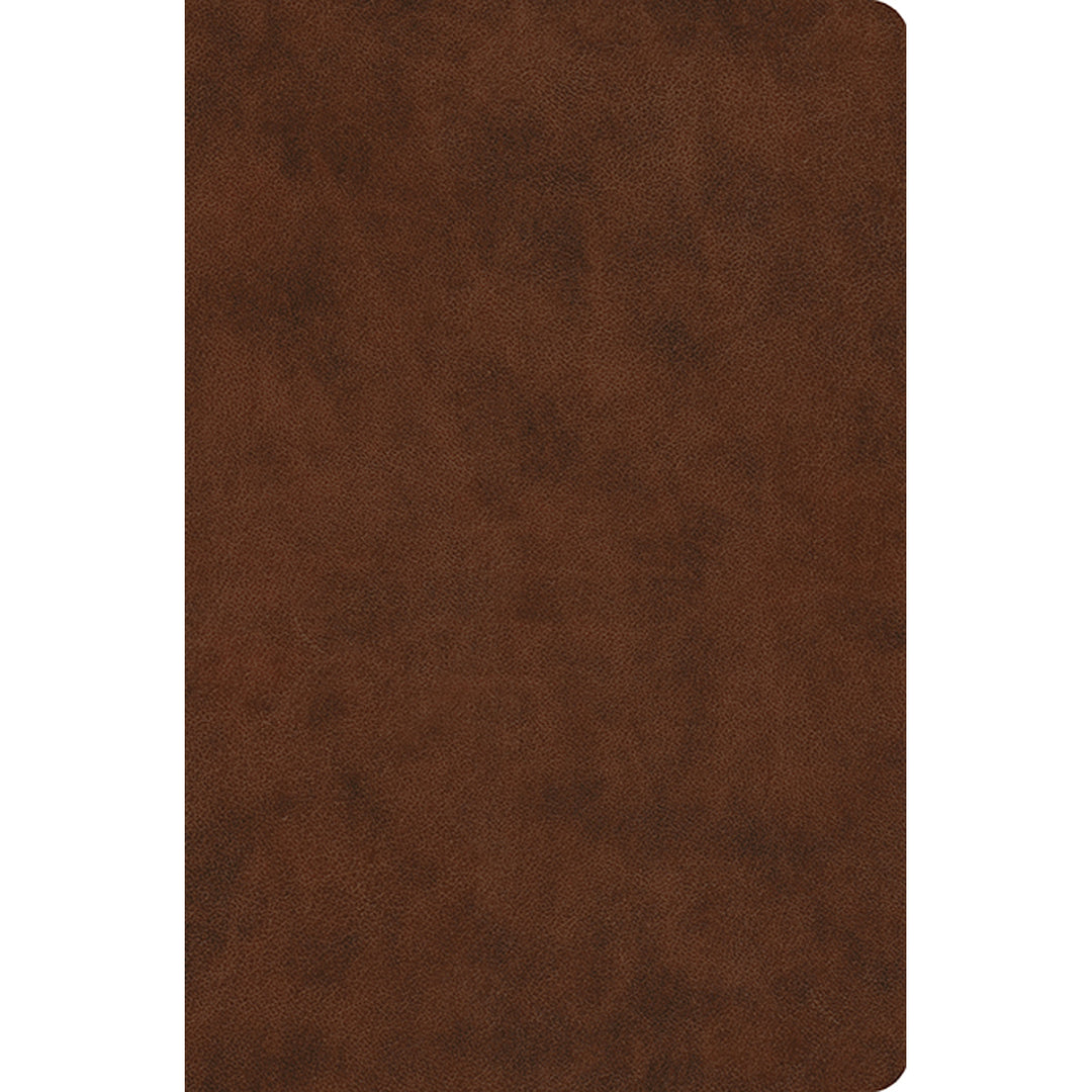 ESV Compact Value Bible Brown (Imitation Leather)