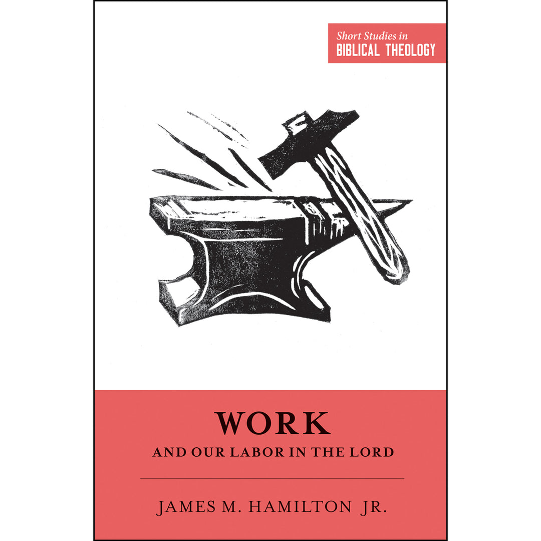 Work And Our Labor In The Lord (Paperback)