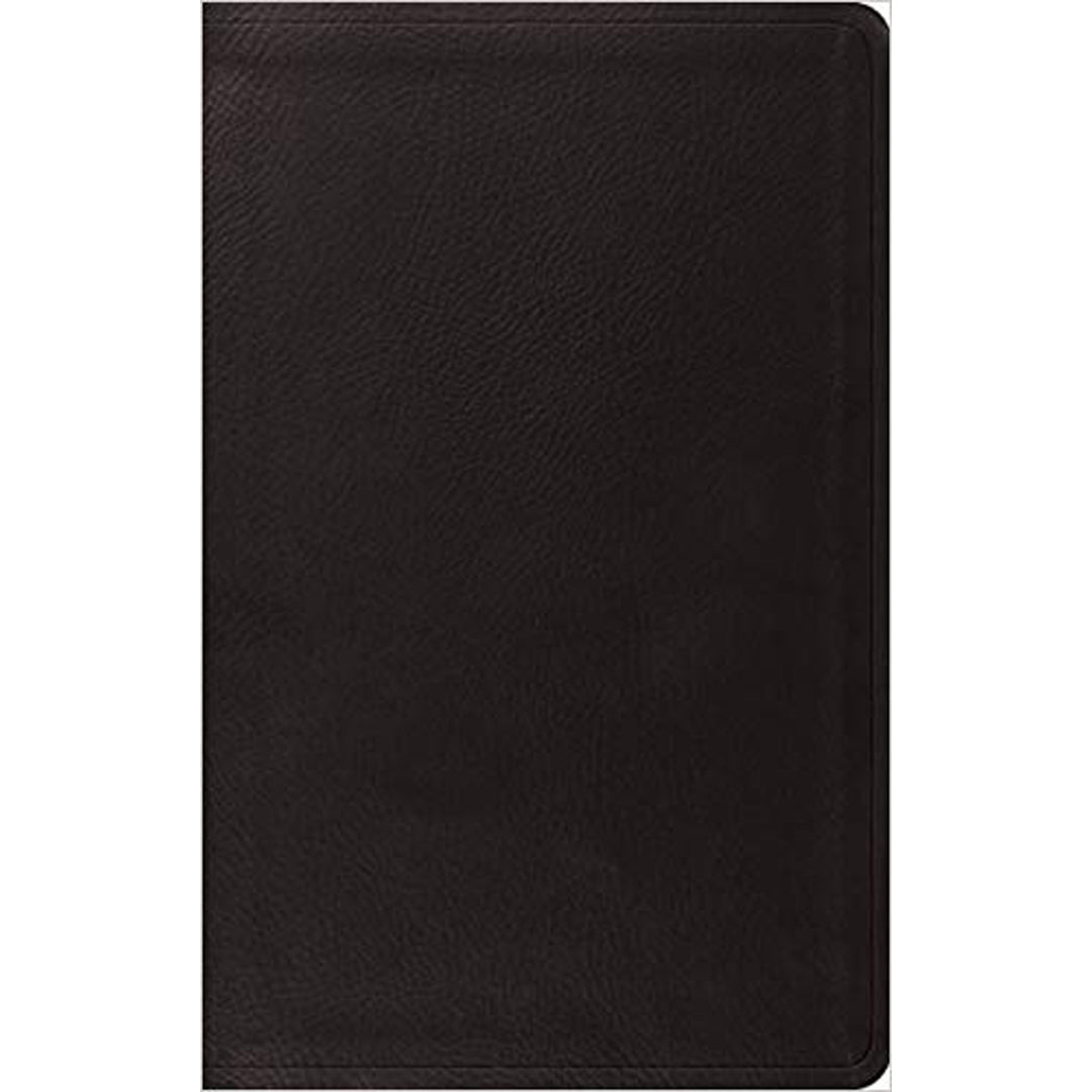 ESV Value Thinline Bible Black (Imitation Leather)