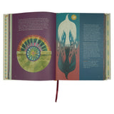 The Biggest Story Bible Storybook (Hardcover)