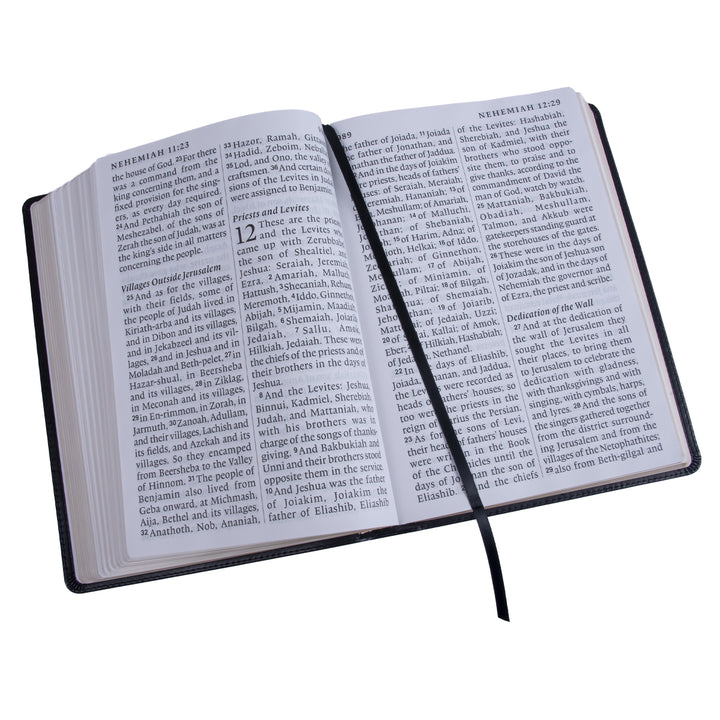 ESV Super Giant Print Bible Black (Imitation Leather)