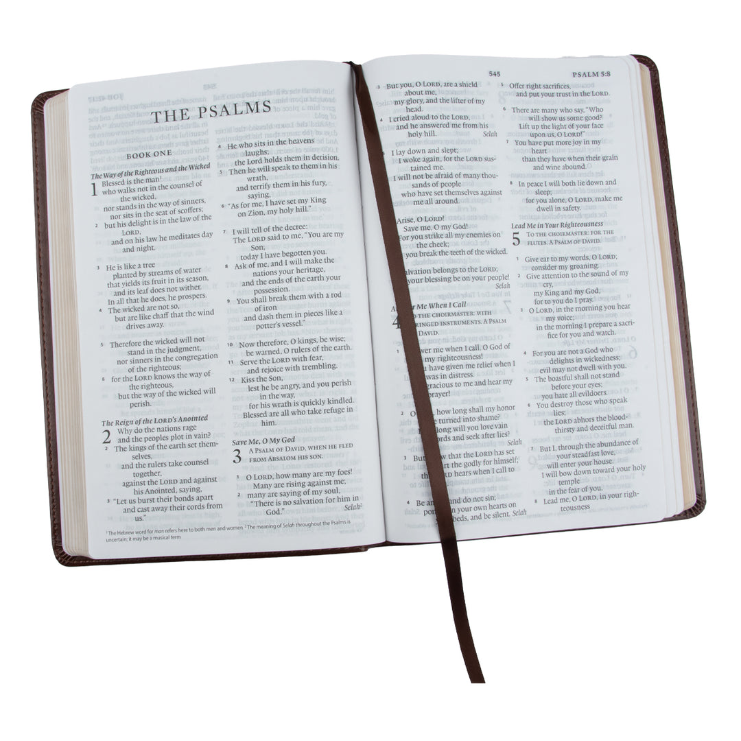 ESV Large Print Thinline Bible Deep Brown (Imitation Leather)