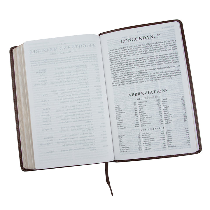 ESV Large Print Thinline Bible Deep Brown (Imitation Leather)