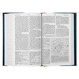 ESV Concise Study Bible (Hardcover)