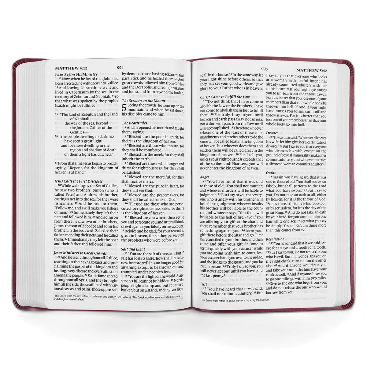 ESV Value Thinline Bible, Large Print, Imitation Leather, Raspberry, Floral Design