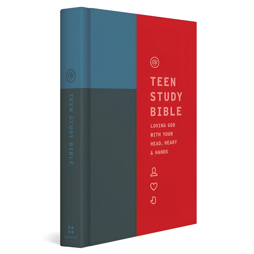 ESV Teen Study Bible Cliffside (Hardcover)