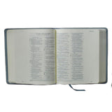 ESV Paris Sky Emblem Design Imitation Leather Journaling Bible