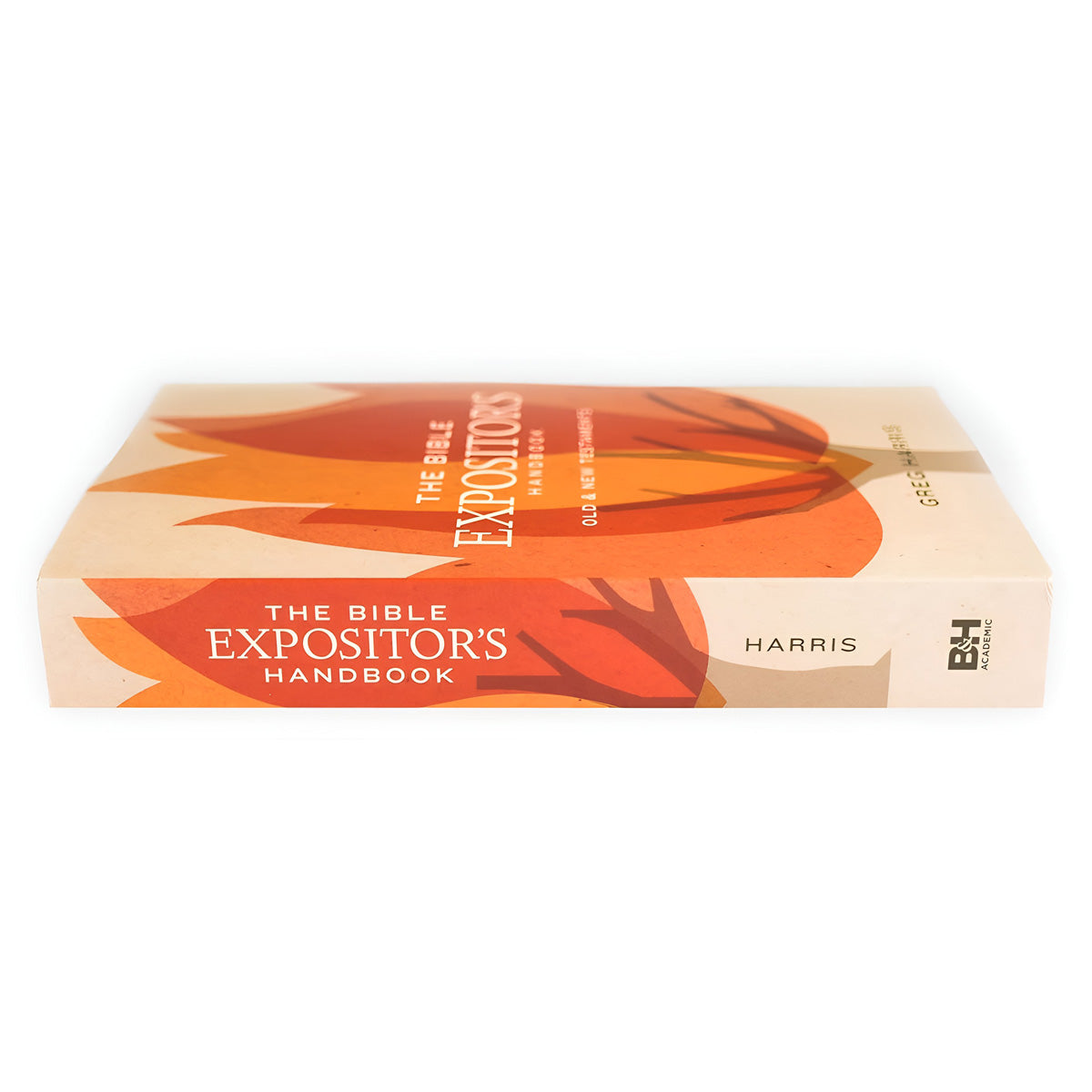 The Bible Expositor's Handbook: Old & New Testaments (Paperback)