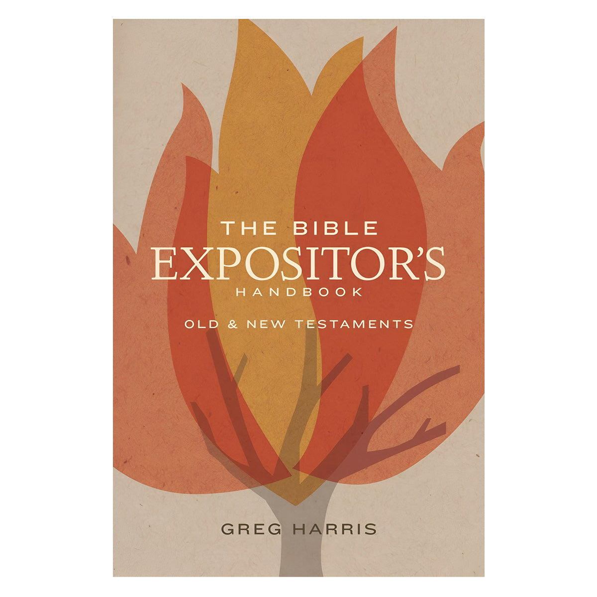 The Bible Expositor's Handbook: Old & New Testaments (Paperback)