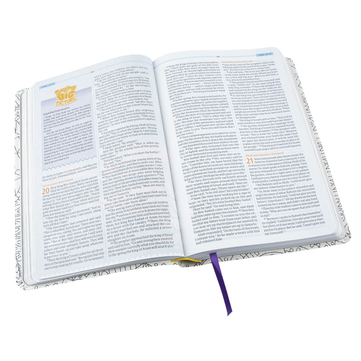 CSB Big Picture Interactive Bible Make It Your Own (Imitation Leather)