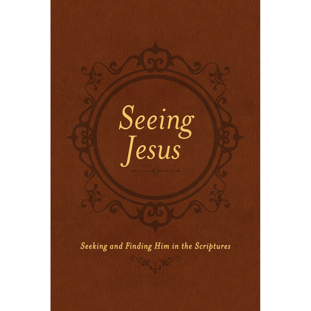 Seeing Jesus (Imitation Leather)