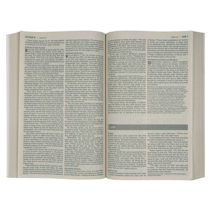 NLT Economy Outreach Bible (Paperback)