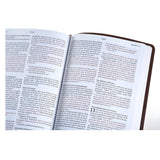 NLT Filament Thinline Reference Bible Red Letter Rustic Brown (Imitation Leather)