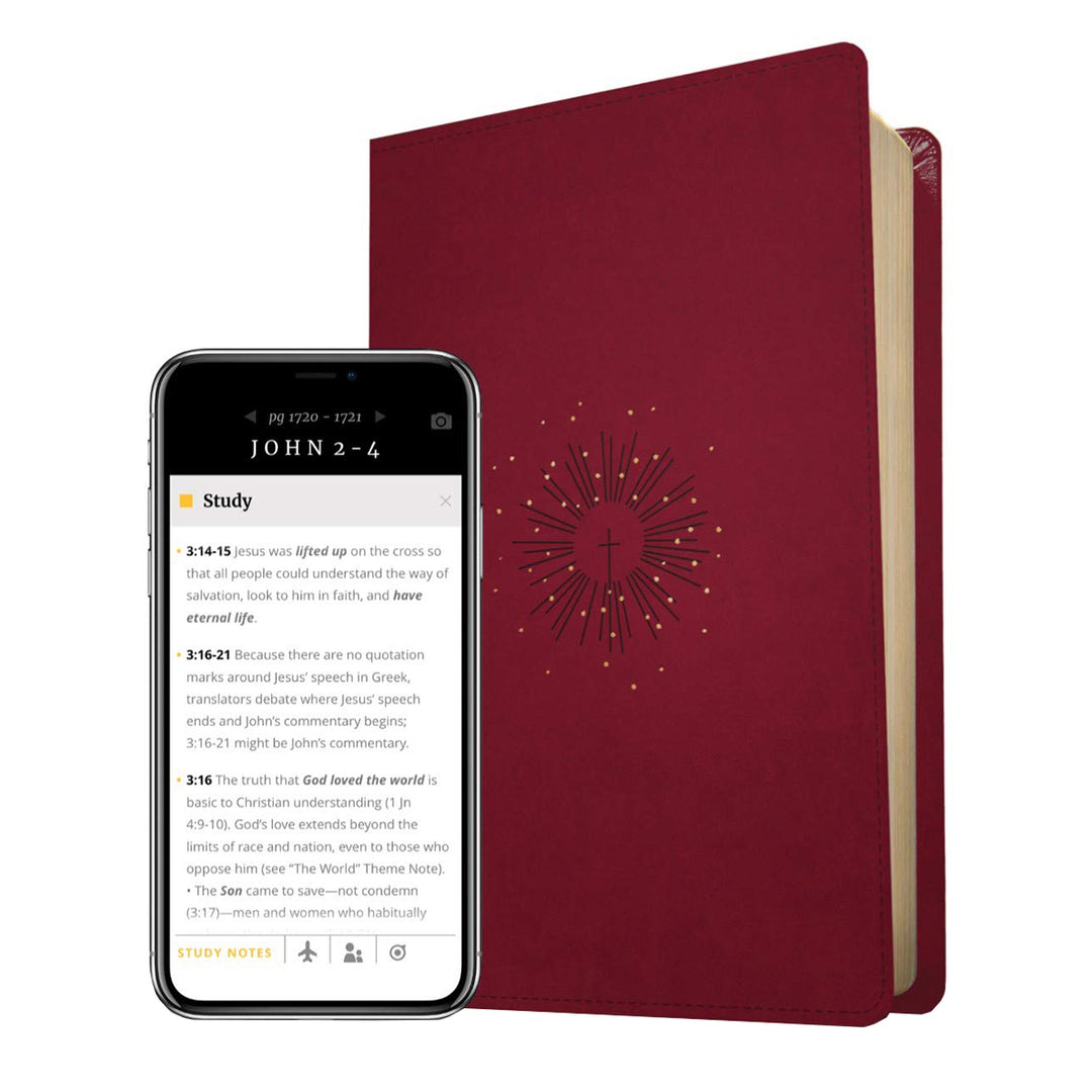 NLT Filament Thinline Reference Bible Red Letter Aurora Cranberry (Imitation Leather)