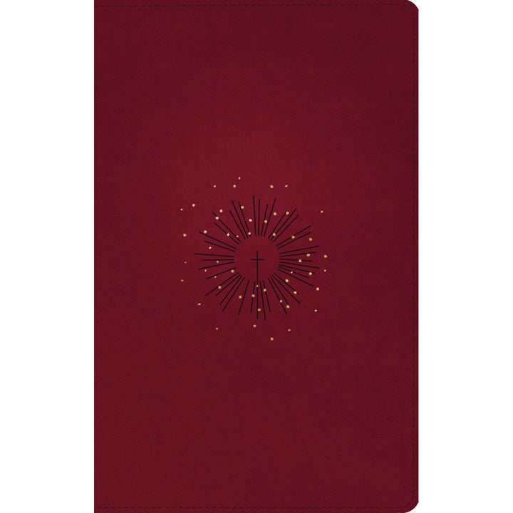 NLT Filament Thinline Reference Bible Red Letter Aurora Cranberry (Imitation Leather)