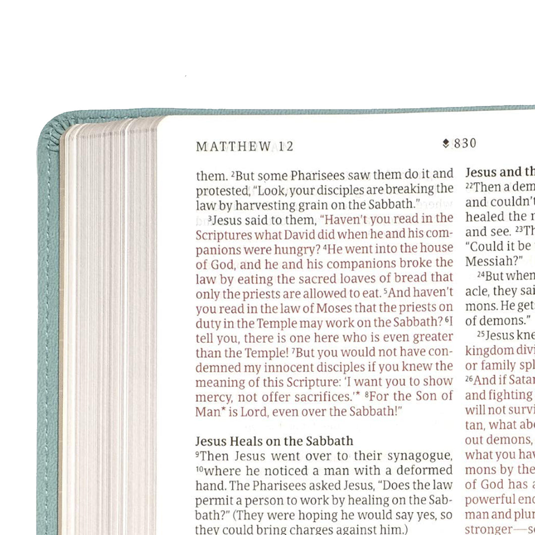 NLT Filament Thinline Reference Bible Large Print Red Letter  Floral Leaf Teal (Imitation Leather)