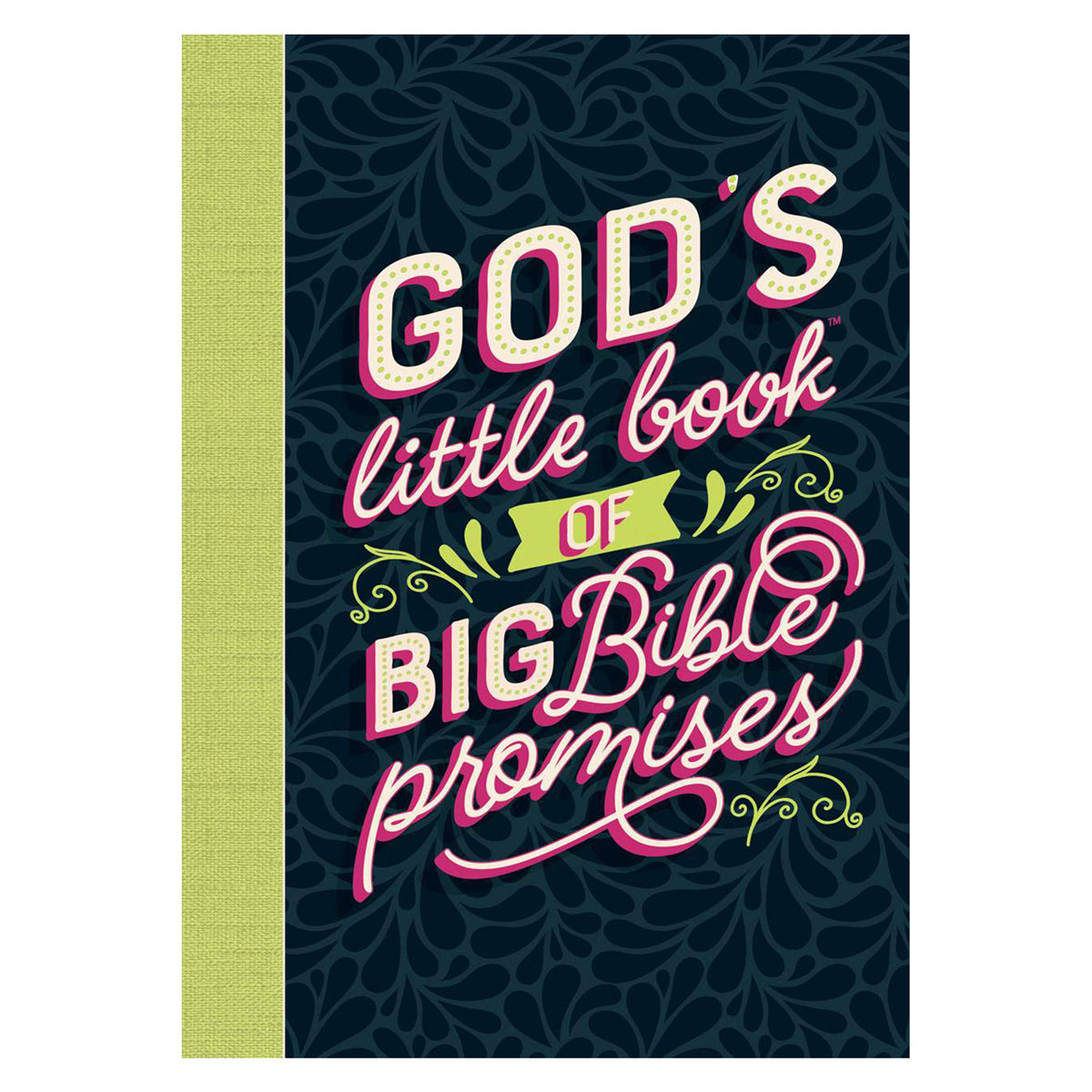 Gods Little Book Of Big Bible Promises (Hardcover)