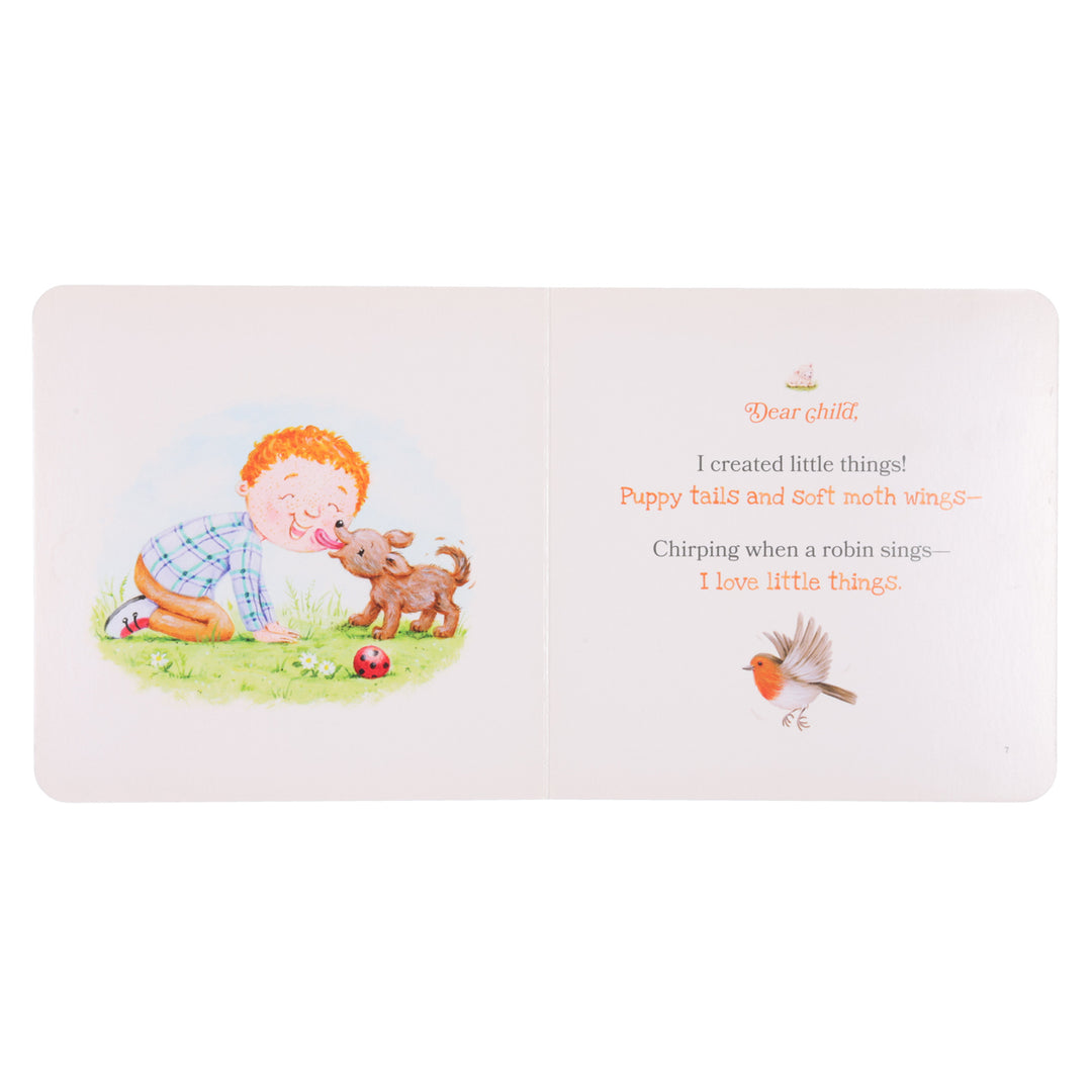 Thanks for Little Things: A Heart-to-Heart Talk with Jesus - A Child's First Bible BB