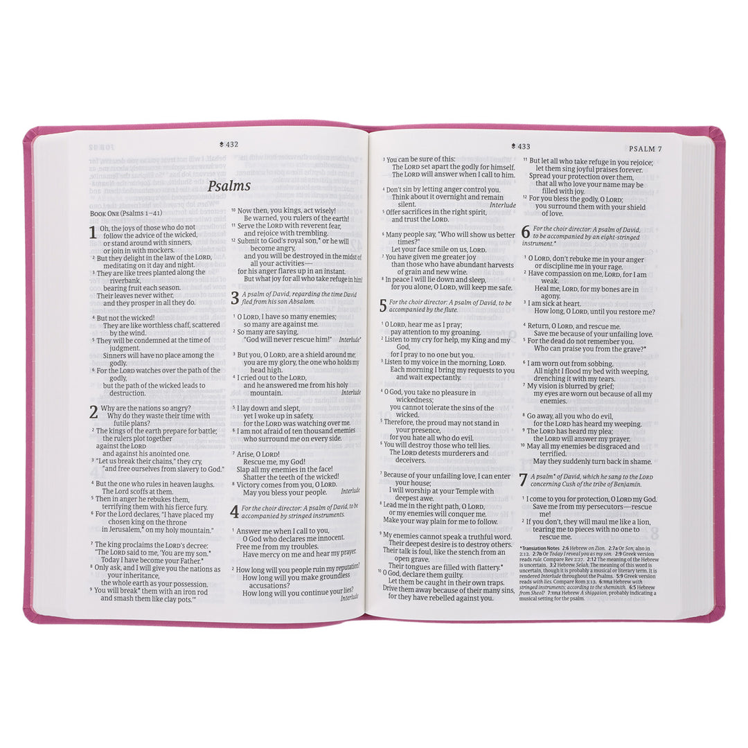 NLT Filament Premium Value Thinline Bible, Large Print, Garden Pink (Imitation Leather)