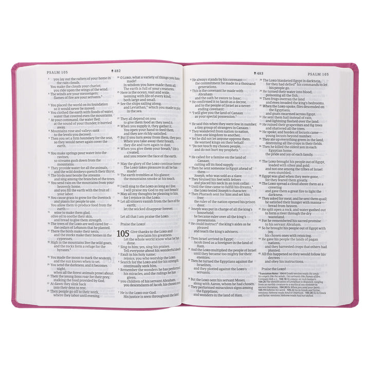 NLT Filament Premium Value Thinline Bible, Large Print, Garden Pink (Imitation Leather)