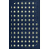 NLT Boys Life Application Study Bible, TuTone, Blue / Neon / Glow (Imitation Leather)