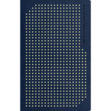 NLT Boys Life Application Study Bible, Indexed, TuTone, Blue / Neon / Glow (Imitation Leather)