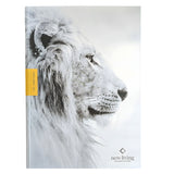 NLT Courage For Life Filament Enabled Study Bible For Men (Hardcover)