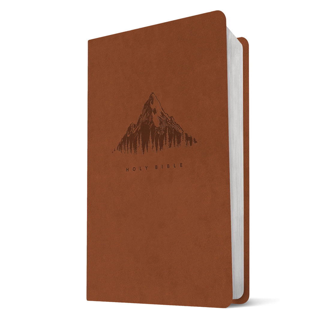 NLT Tan Mountain Imitation Leather Filament Premium Value Thinline Bible Giant Print