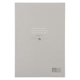 NLT Paperback Filament Enabled Daily Walk Bible