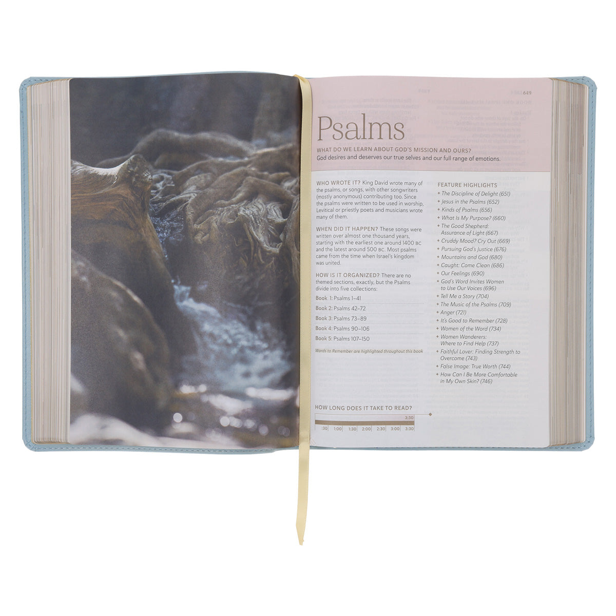 NLT Sky Blue Imitation Leather Filament Enabled Every Woman’s Bible