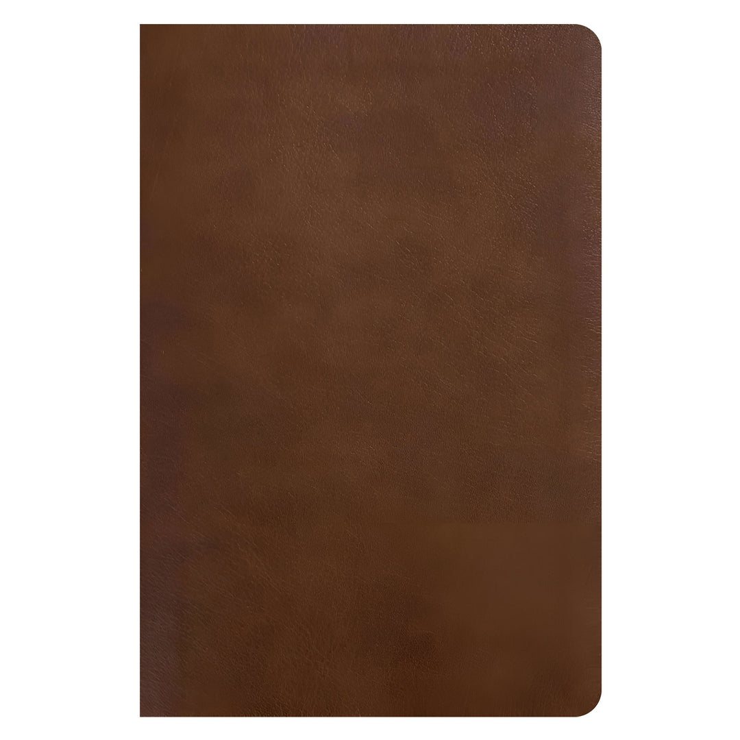 NLT Rustic Brown Imitation Leather One Year Chronological Study Bible